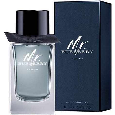 mr burberry indigo 100ml|mr burberry indigo set.